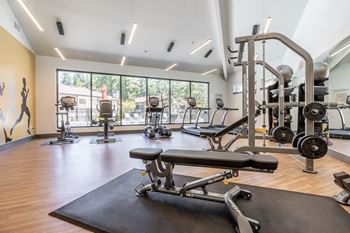 Fully equipped state of the art fitness center